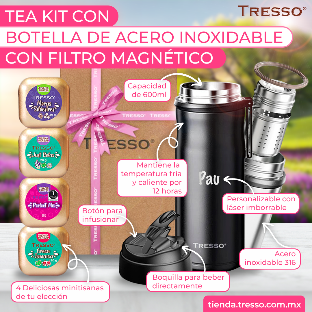 Tea kit con botella de acero inoxidable con filtro magnético
