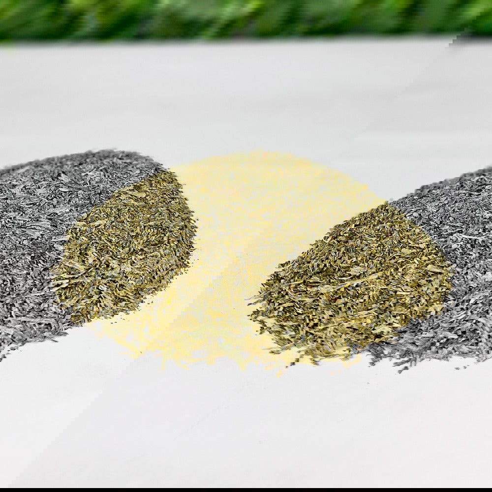 Té Verde Japonés (Puro): Sencha 30g-140g - TRESSO®