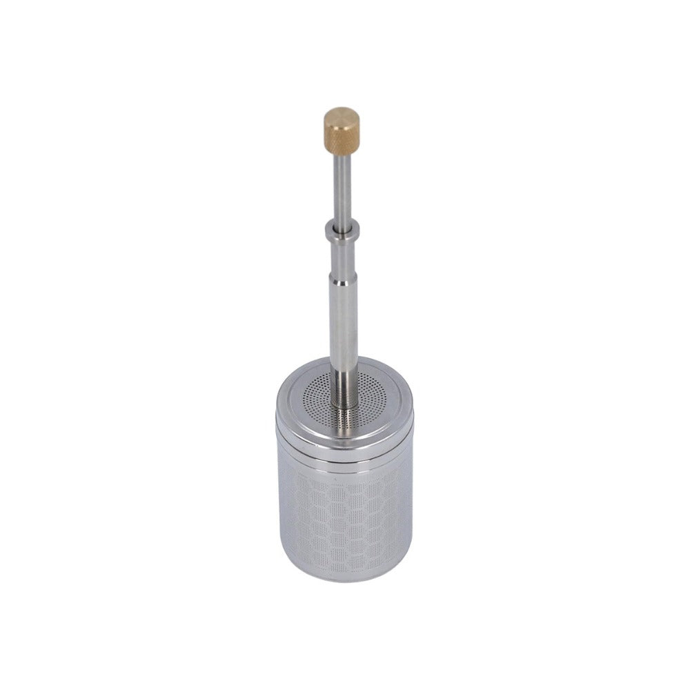 Stainless steel press-type infuser